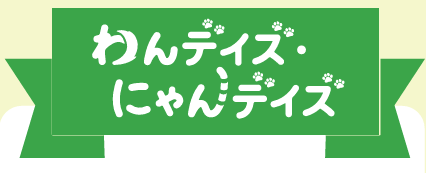 スクリーンショット 2024-08-23 142524