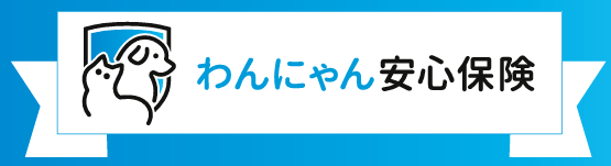スクリーンショット 2024-08-23 142621