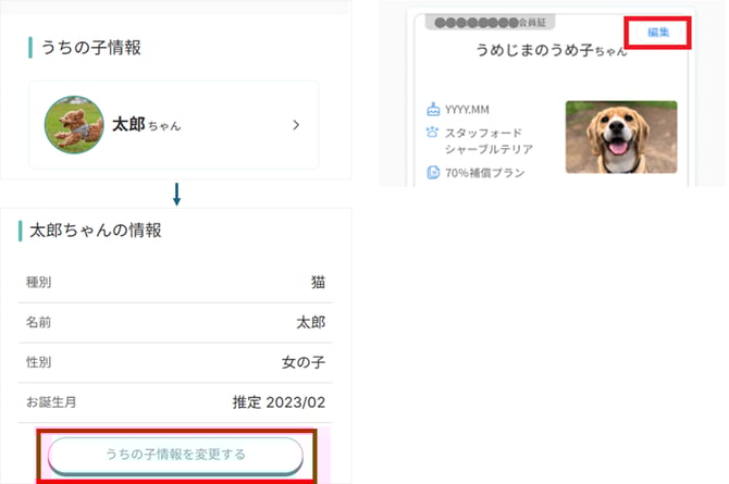 うちの子の画像1