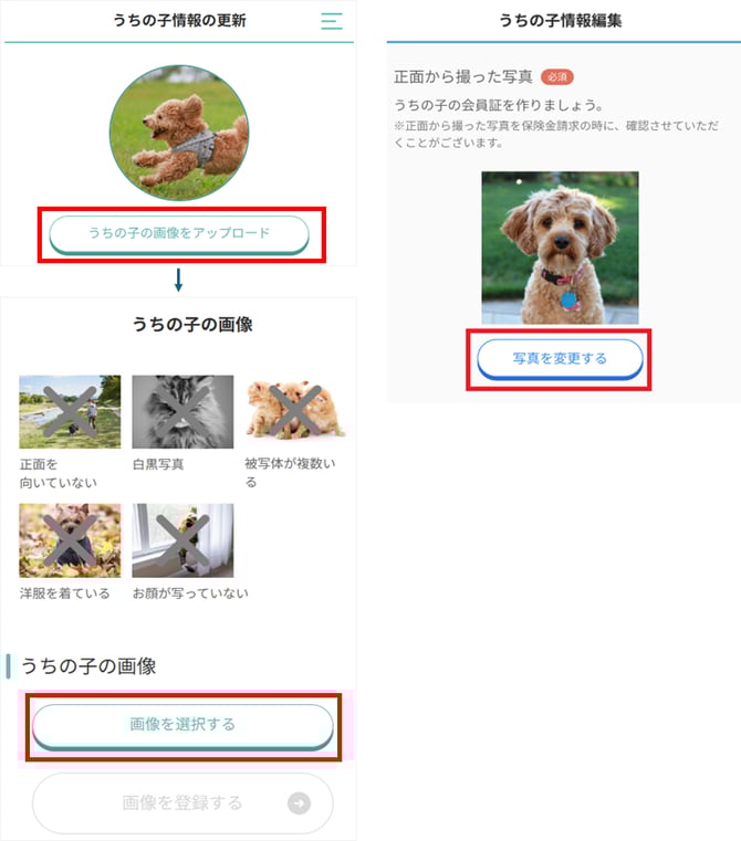 うちの子の画像2