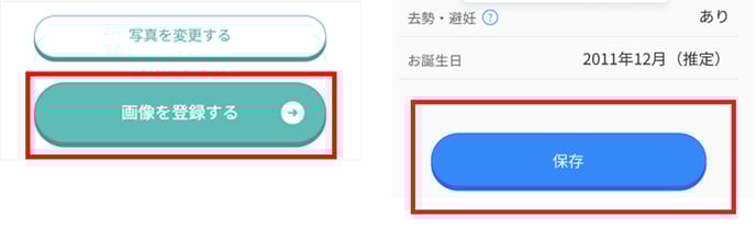 うちの子の画像3