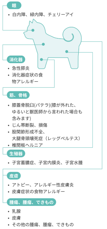 不担保がつく病歴