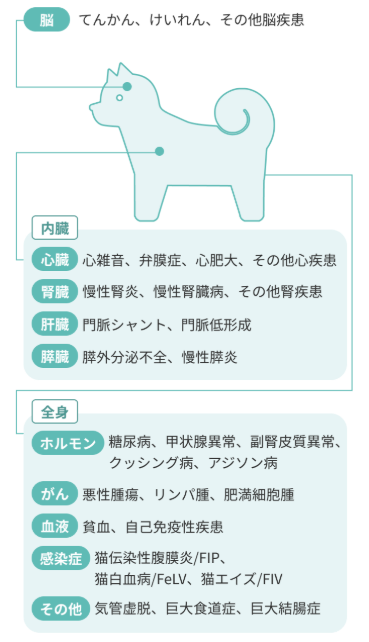 加入できない病歴
